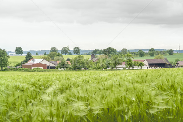 Stockfoto: Stormachtig · landelijk · landschap · agrarisch · rond