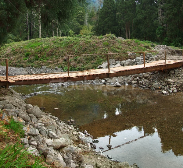 wooden bridge and stream Stock photo © prill