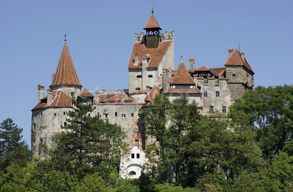 麩 城堡 山 羅馬尼亞 建設 哥特式 商業照片 © prill
