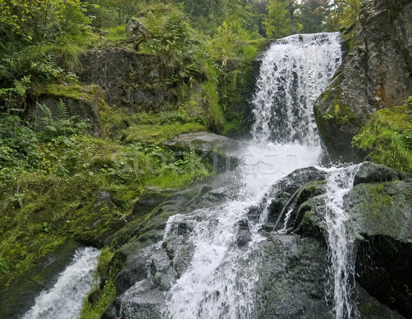 Idyllique cascades paysages noir forêt [[stock_photo]] © prill