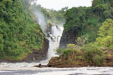 River Nile with Murchison Falls Stock photo © prill