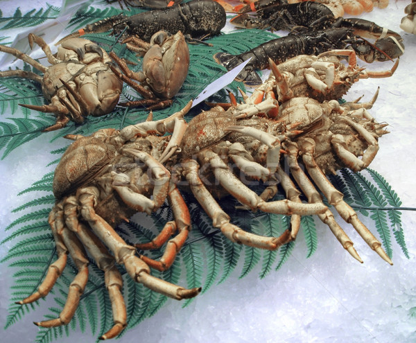 crustaceans Stock photo © prill