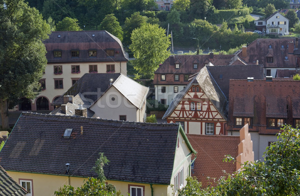 Wertheim aerial detail Stock photo © prill