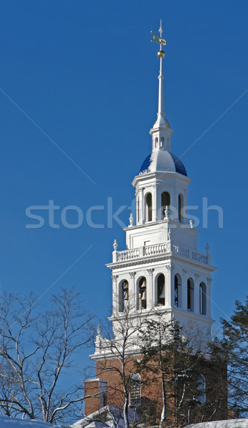 башни Кембридж Массачусетс США Сток-фото © prill