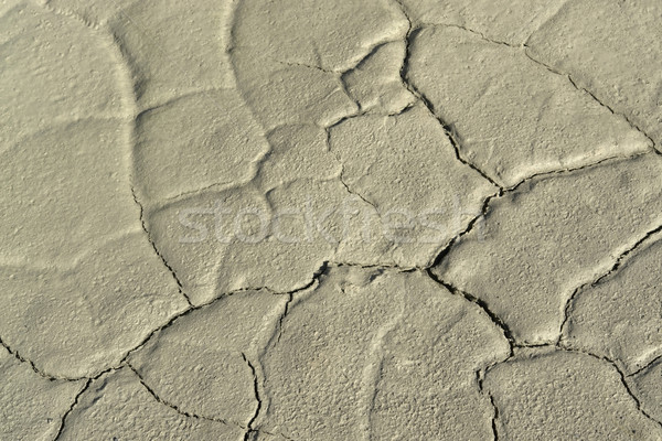 wet fissured mud Stock photo © prill