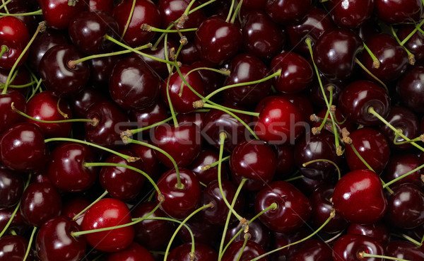 cherry background Stock photo © prill