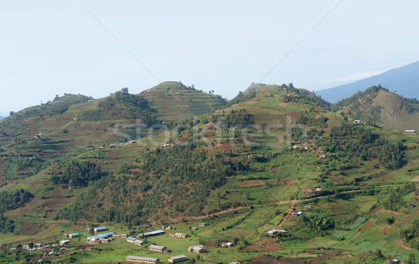 Virunga Mountains aerial view Stock photo © prill