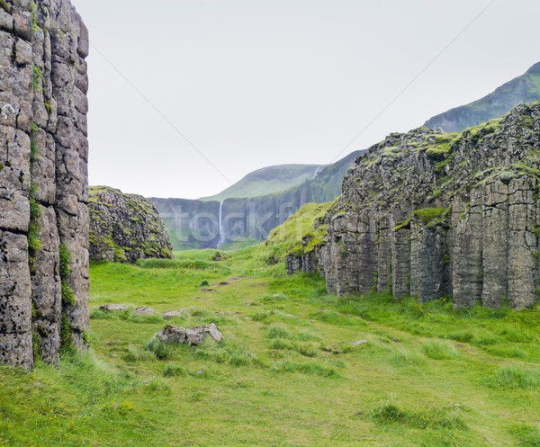 Krajobraz Islandia opuszczony naturalnych trawy charakter Zdjęcia stock © prill