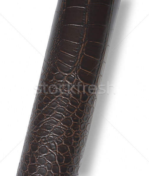 rolled brown croc leather surface Stock photo © prill