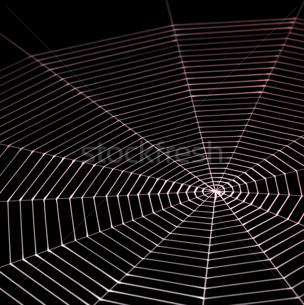 painted spiderweb Stock photo © prill