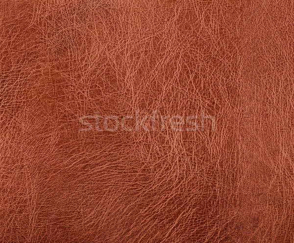 кожа поверхность полный кадр аннотация коричневый фон Сток-фото © prill