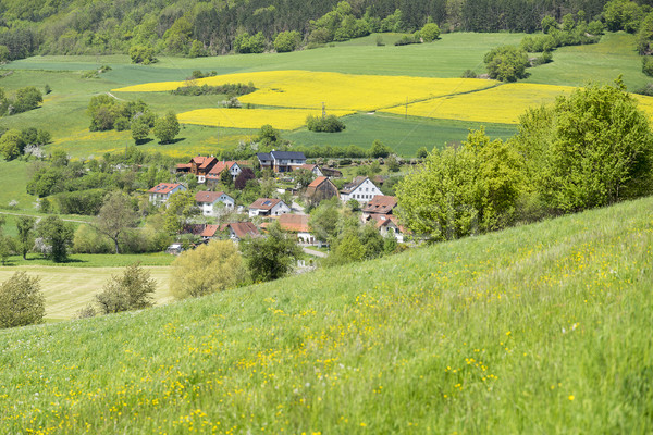 rural springtime scenery Stock photo © prill