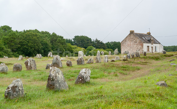 Carnac stones in Brittany Stock photo © prill