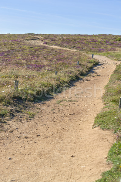 Kamyonet sahil manzara etrafında Avrupa yol Stok fotoğraf © prill