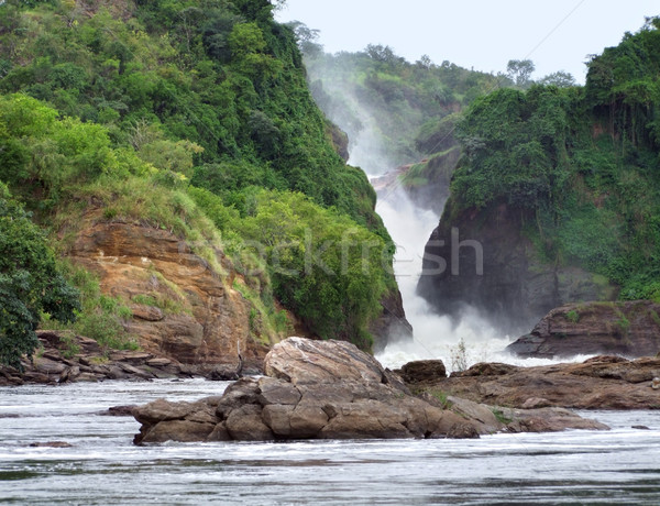 Murchison Falls in Uganda Stock photo © prill