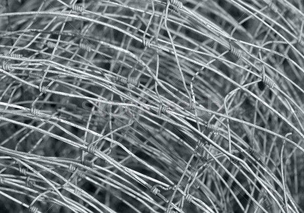 mesh wire fence detail Stock photo © prill