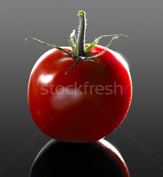 perfect tomato Stock photo © prill