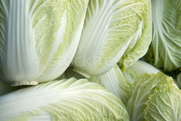 Tam kare marul taze detay yaprak salata Stok fotoğraf © prill