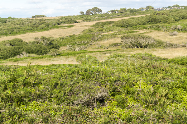around Pointe de Pen-Hir in Brittany Stock photo © prill