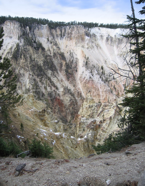 Yellowstone National Park Stock photo © prill