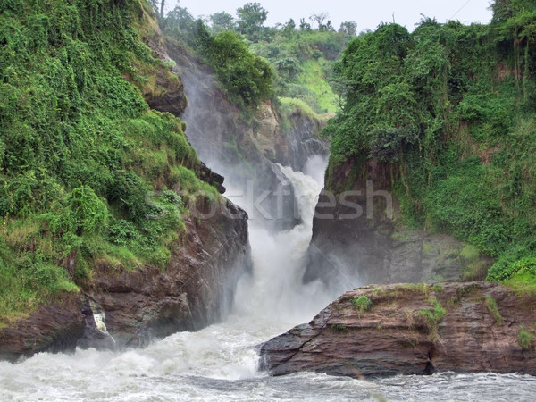 Idilliaco formazione rocciosa Uganda africa albero natura Foto d'archivio © prill