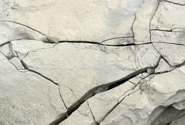 stone surface Stock photo © prill