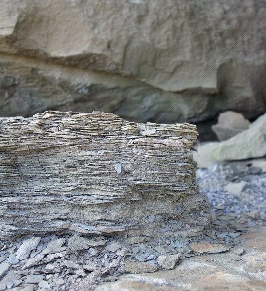 Steen detail abstract natuur rock Stockfoto © prill