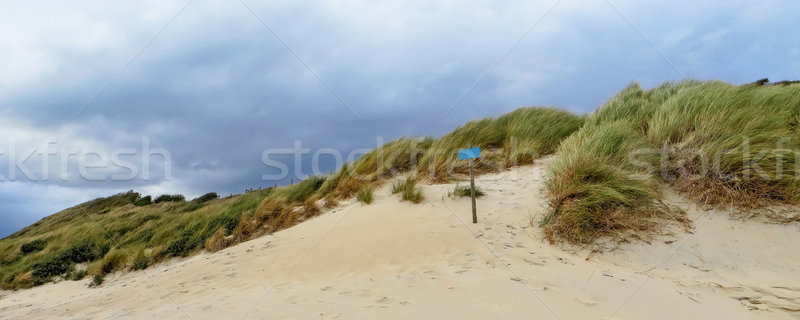 Foto stock: Holanda · ensolarado · cenário · mar · areia · nuvem