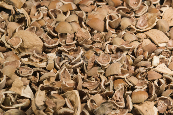 nutshell background Stock photo © prill