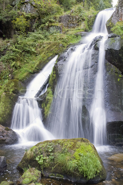 idyllic Triberg Waterfalls Stock photo © prill