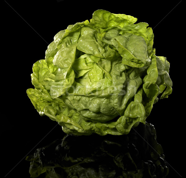 green head of lettuce Stock photo © prill