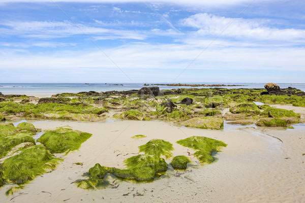 sunny beach in Brittany Stock photo © prill