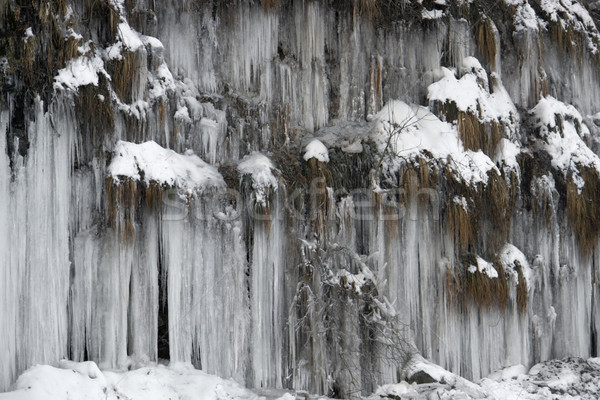 lots of icicles Stock photo © prill