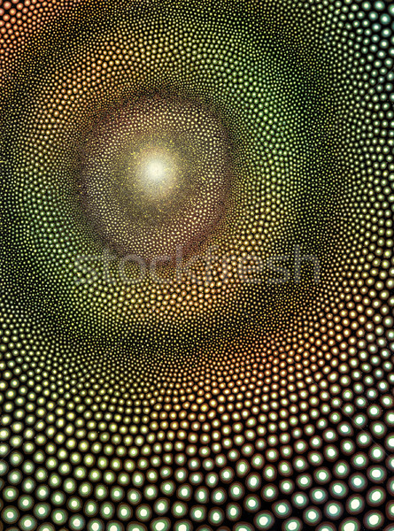 abstract dotted background Stock photo © prill