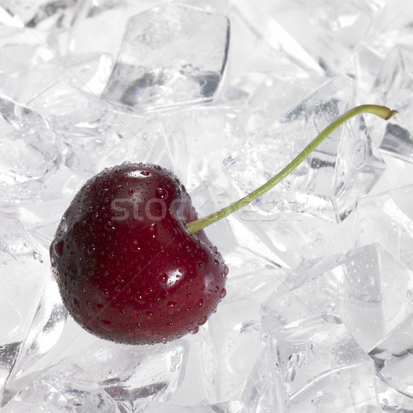 red cherry on ice Stock photo © prill