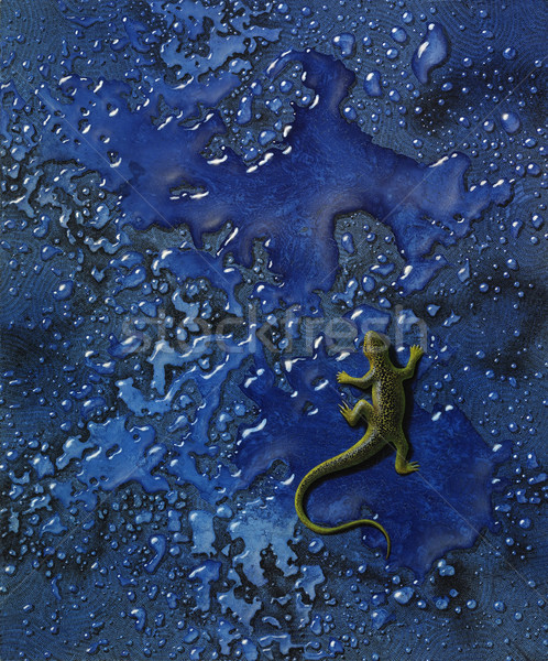 黄色 トカゲ ぬれた 青 戻る 画像 ストックフォト © prill