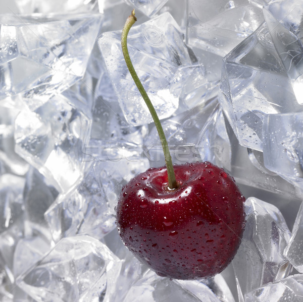 red cherry on ice Stock photo © prill