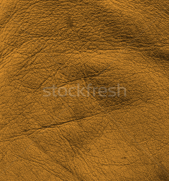 brown leather surface Stock photo © prill