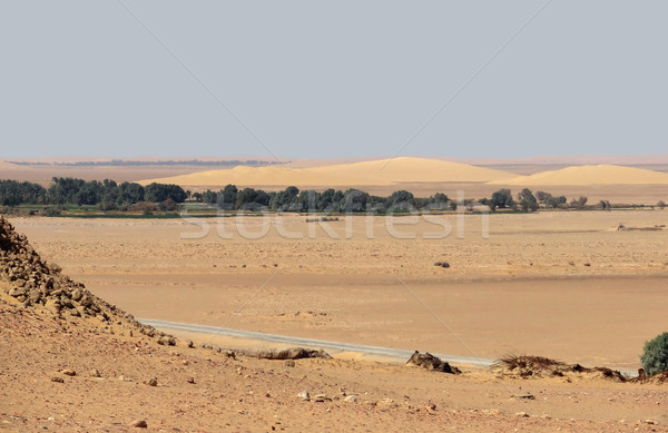 周圍 沙漠 風景 綠洲 埃及 商業照片 © prill