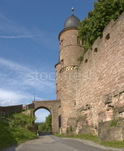 Wertheim Castle detail at summer time Stock photo © prill