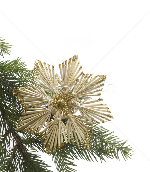 straw star and fir branch Stock photo © prill