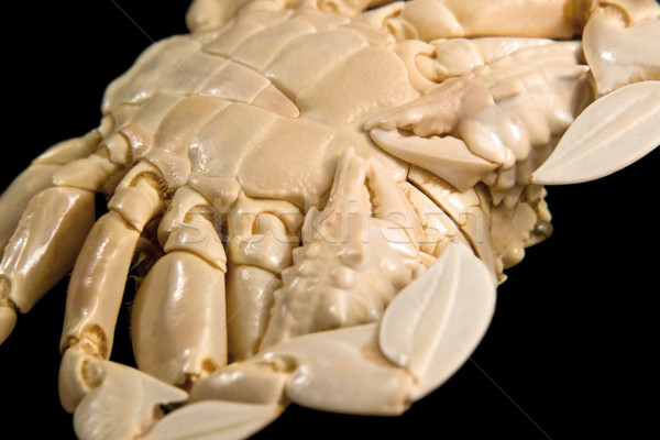 detail of a moon crab Stock photo © prill