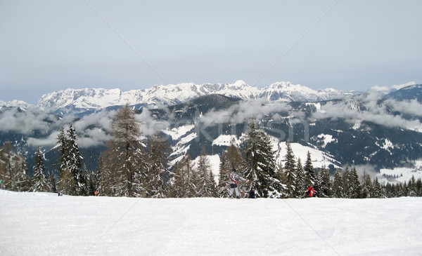 [[stock_photo]]: Montagne · paysages · autour · hiver · forêt · paysage