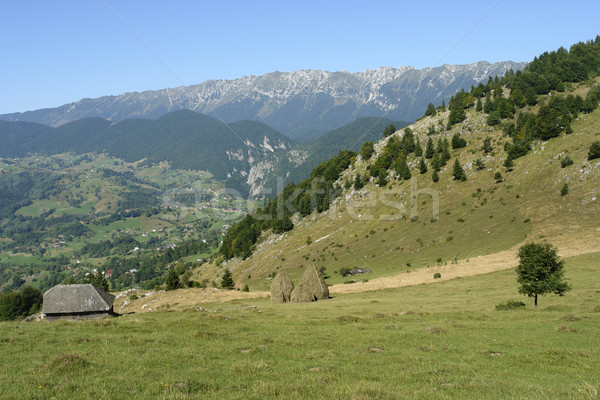 Transylvania Stock photo © prill