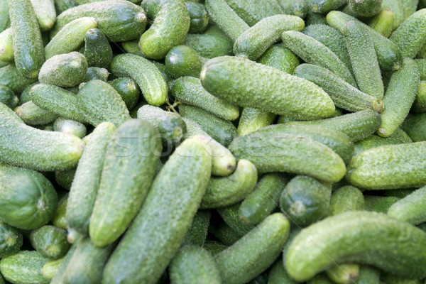 lots of green gherkins Stock photo © prill
