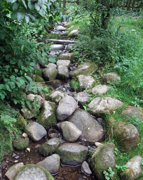 stream and pebbles Stock photo © prill