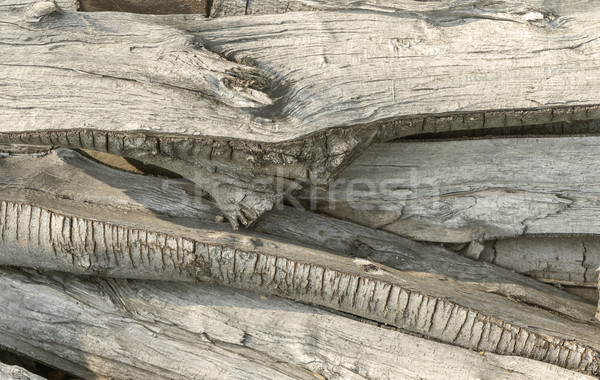 abstract wooden background Stock photo © prill