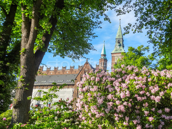 idyllic city view of Copenhagen Stock photo © prill