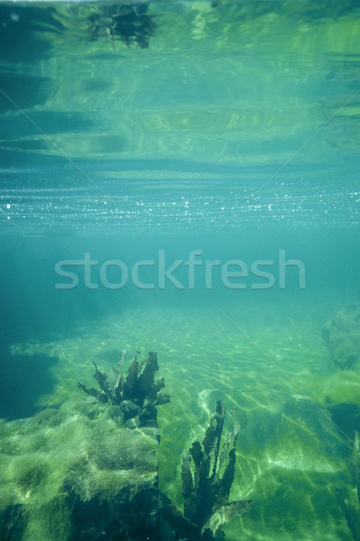 underwater scenery Stock photo © prill