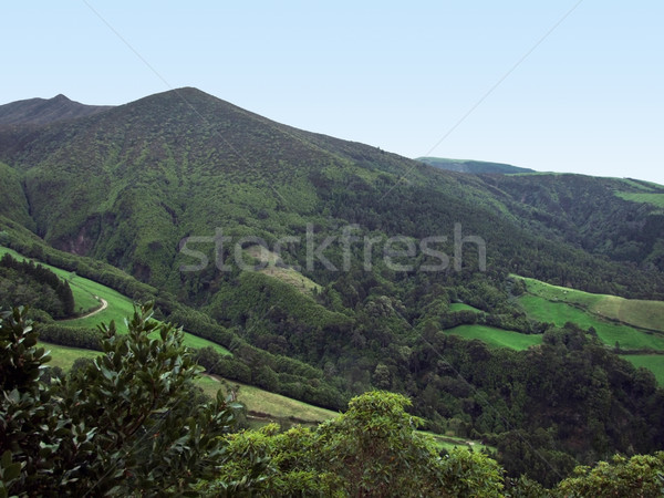 landscape at the Azores Stock photo © prill